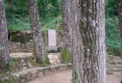 Font de la Oreneta