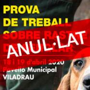 Viladrau ANUL·LAT Prova de treball sobre rastre de senglar 2020