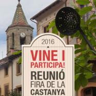 Viladrau Segona reunió Fira de la Castanya 2016