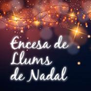 Viladrau Encesa de Llums de Nadal