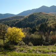 El Montseny, Viladrau