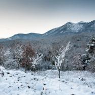 El montseny, Viladrau