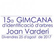 Viladrau 15a Gimcana Joan Varderi