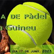 1ª Costellada de Pàdel Viladrau, La Guineu