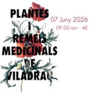 Sortida de reconeixement "Plantes i Remeis Medicinals de Viladrau"