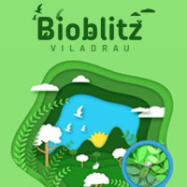 Bioblitz Viladrau