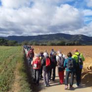 Viladrau Caminada +60 de primavera