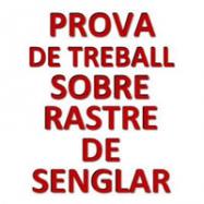 Viladrau Prova de treball sobre rastre de senglar
