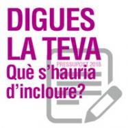 Viladrau Pressupost 2018 - Digues la teva. Què s'hauria d'incloure?