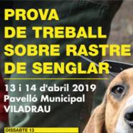 Viladrau Prova de treball sobre rastre de senglar 2019