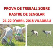 Viladrau Prova de treball sobre rastre de senglar