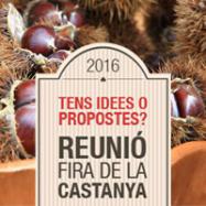 Reunió Fira de la Castanya