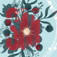 Viladrau Festa Major d'Hivern - Sant Martí 2018