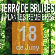 Viladrau Terra de Bruixes i Plantes Remeieres