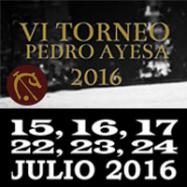 Viladrau VI Torneig de Polo Pedro Ayesa