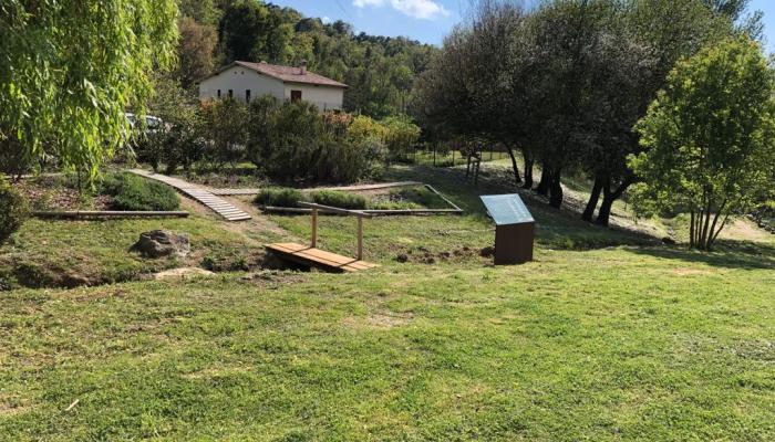 Viladrau Arborètum de Bruixes i Bandolers