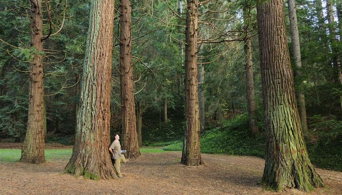 Itineraris i rutes. Arboretum Masjoan. Viladrau-Espinelves.