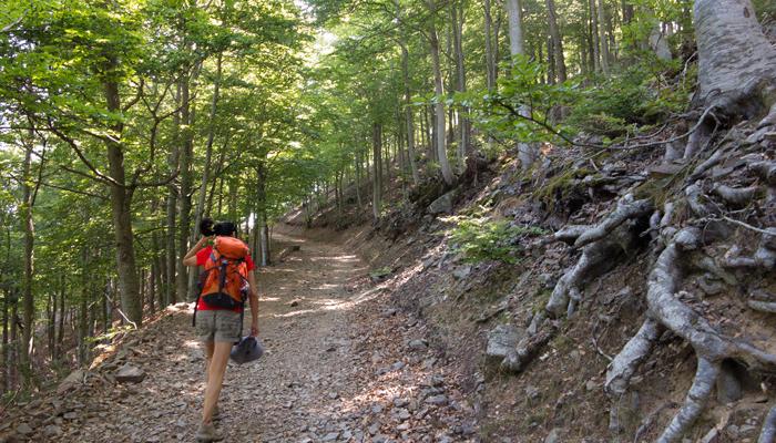 Itineraris i rutes Viladrau. Camí de Matagalls.