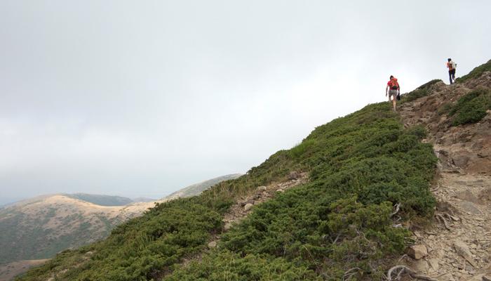 Itineraris i rutes Viladrau. Camí de Matagalls.