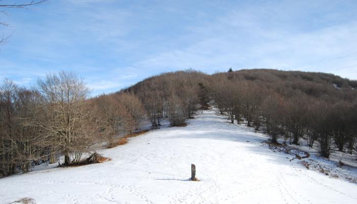 Itineraris i rutes Viladrau.Coll Pregon. Camí de Matagalls.