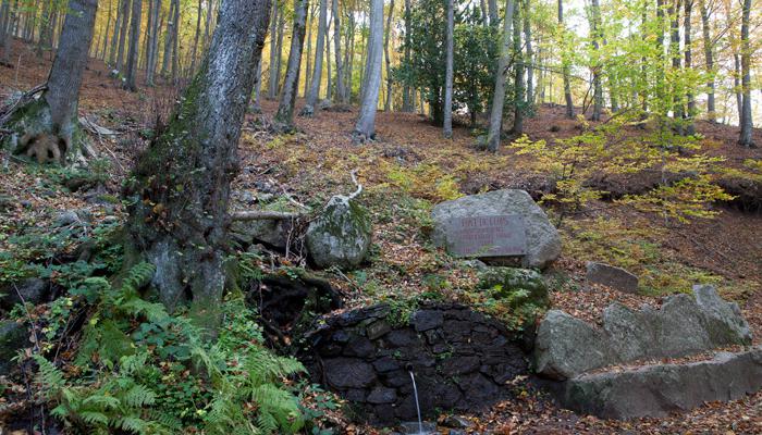 Viladrau, Font de Llops