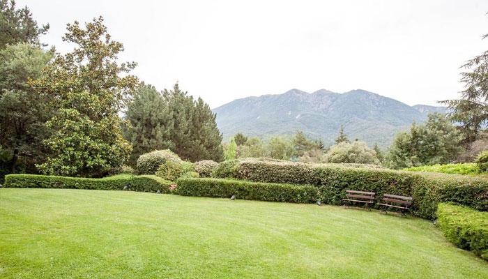 Viladrau Gran Castanyer