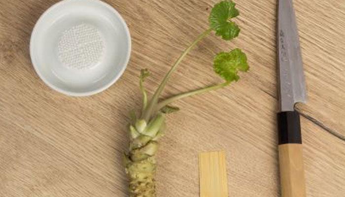 Viladrau Yamaaoi Wasabi S.L.