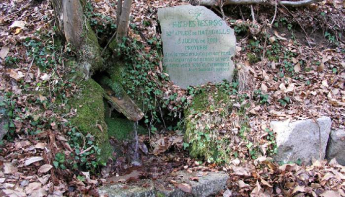 Viladrau, Font de les Tres Roses