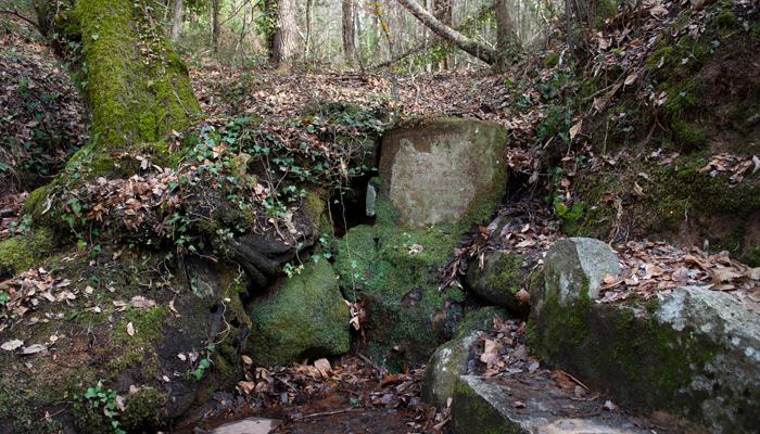 Viladrau, Font del Noi Gran