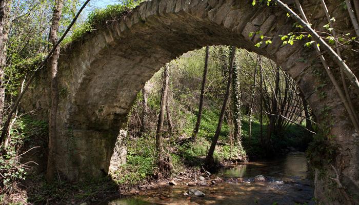 Pont de Can Pau Moliner