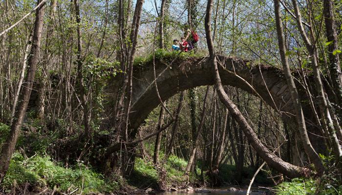 Pont de Can Pau Moliner