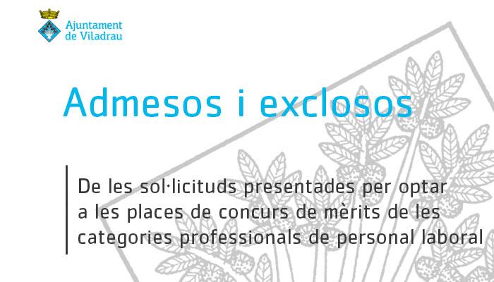 Admesos i exclosos, de les sol·licituds presentades, del procés selectiu de concurs de mèrits de les categories professionals de personal laboral