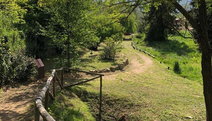 Viladrau Arborètum de Bruixes i Bandolers