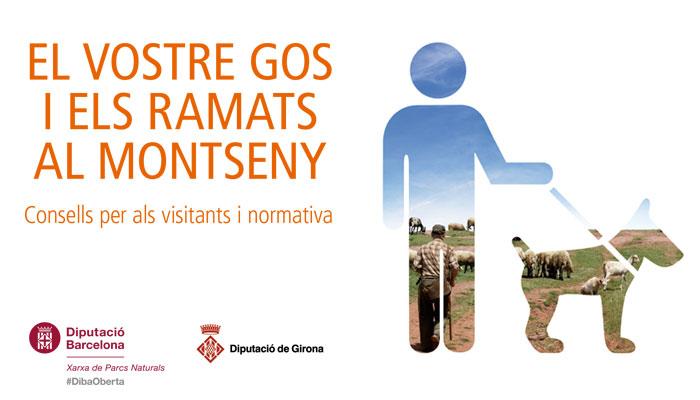 Viladrau "El vostre gos i els ramats al Montseny"