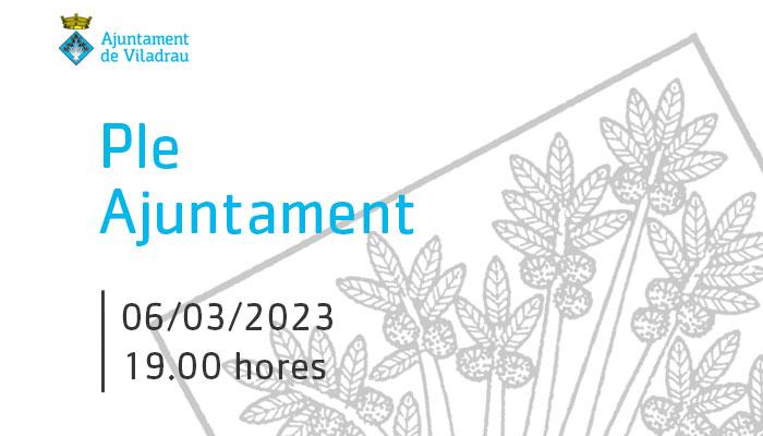Convocatòria de la sessió ordinària del ple de l