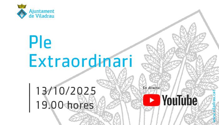 Convocatòria de la sessió extraordinària del ple de l