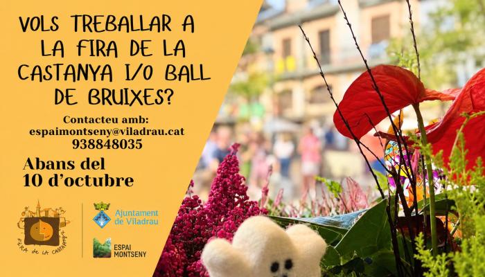 Viladrau Vols treballar a la Fira de la Castanya i/o Ball de Bruixes?