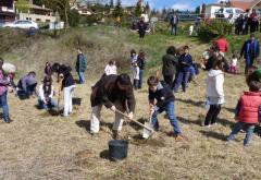 Festa de l'Arbre. Viladrau