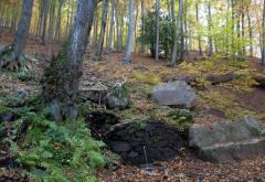 Font de Llops Viladrau