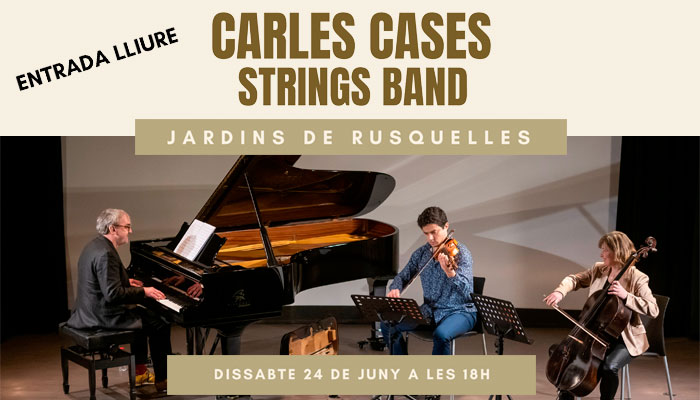 Viladrau Carles Cases Strings Band