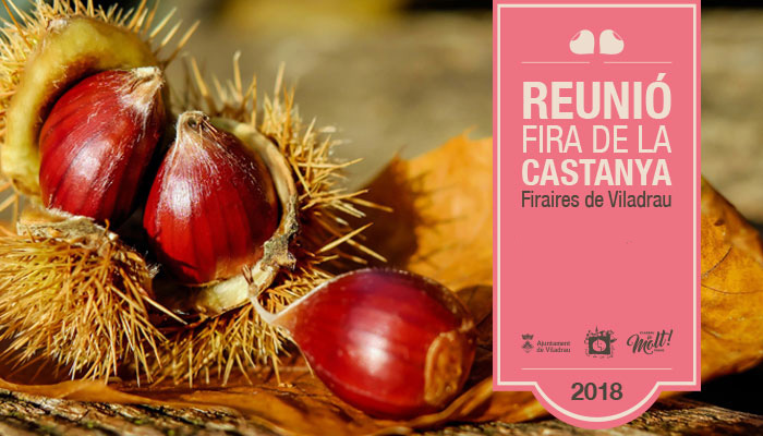 Viladrau Reunions Fira de la Castanya 2018