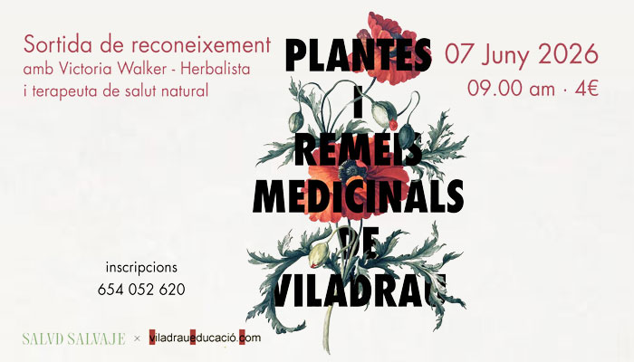 Sortida de reconeixement "Plantes i Remeis Medicinals de Viladrau"