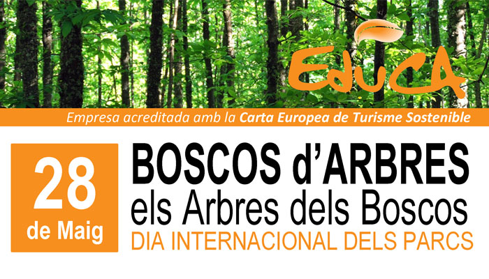 Viladrau Boscos d'Arbres "Els Arbres dels Boscos"