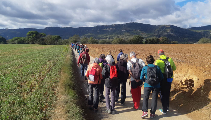 Viladrau Caminada +60 de primavera