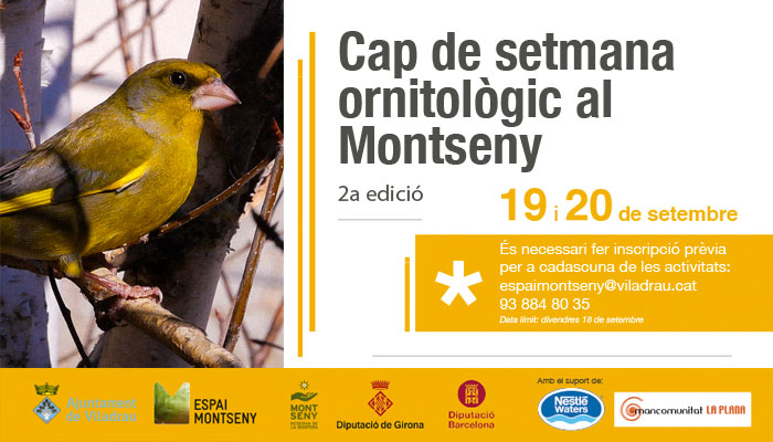 Viladrau - Cap de setmana ornitològic al Montseny