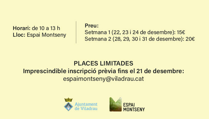 Viladrau Casal de Nadal 2020