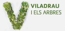 Viladrau i els arbres