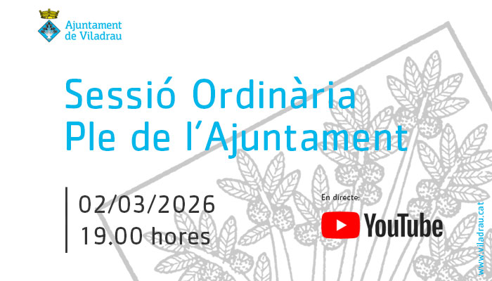 Sessió ordinària del ple de l'ajuntament. El 2 de març de 2026