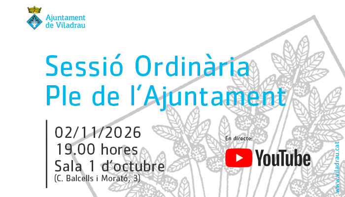 Sessió ordinària del ple de l'ajuntament. El 2 de novembre de 2026