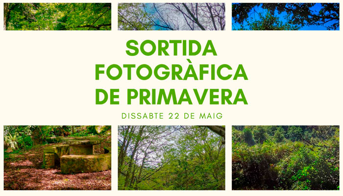 Viladrau Sortida fotogràfica de primavera